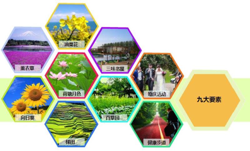 荷塘月色規劃設計